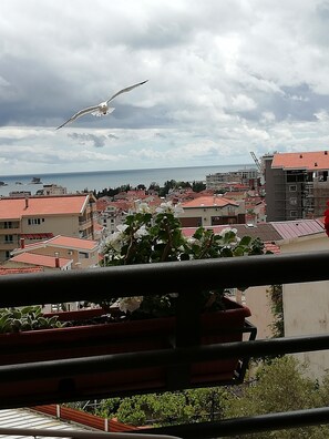 Property grounds - Apartment with sea view Apartmant Ana (Budva)