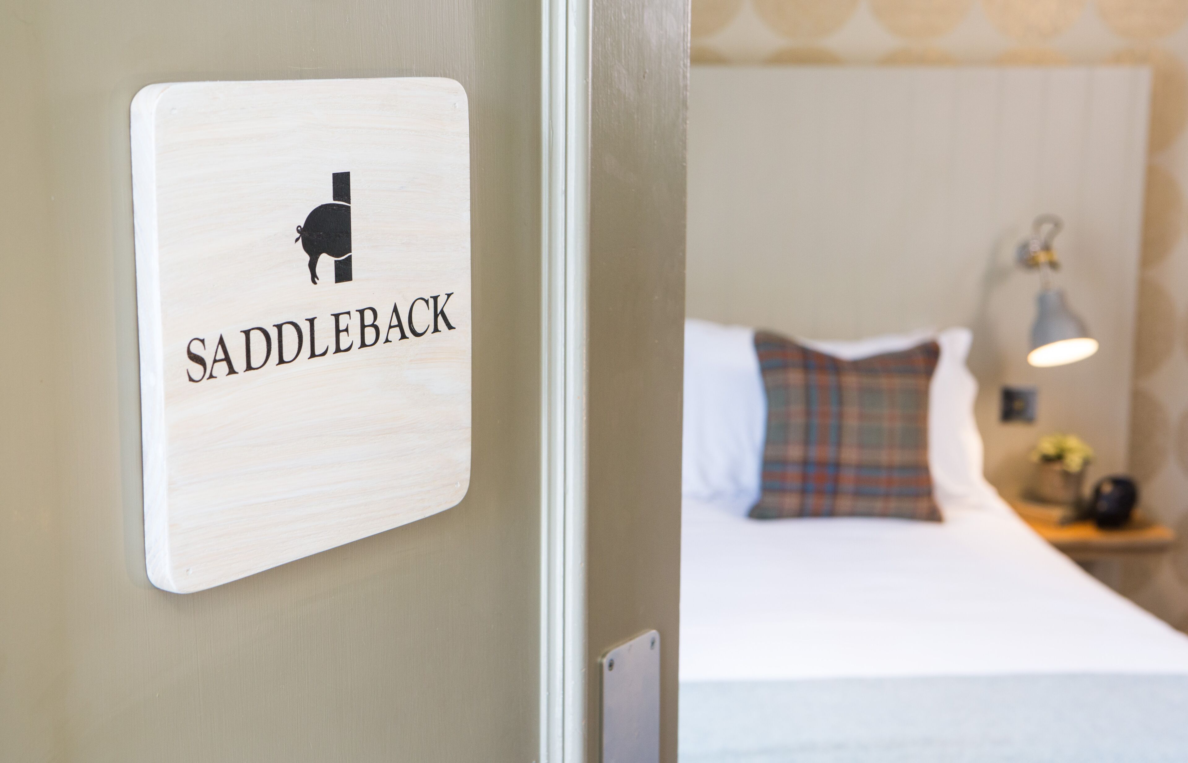 A sign with a saddleback horse icon and the word "SADDLEBACK" on a wall.