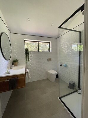 Shower, free toiletries, hair dryer, towels
