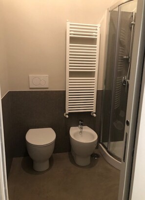 Shower, hair dryer, bidet, towels