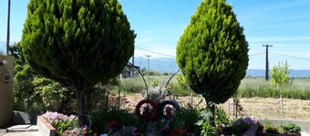 CASA PLATANOS GRECIA