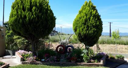PLATANOS HOUSE GREECE