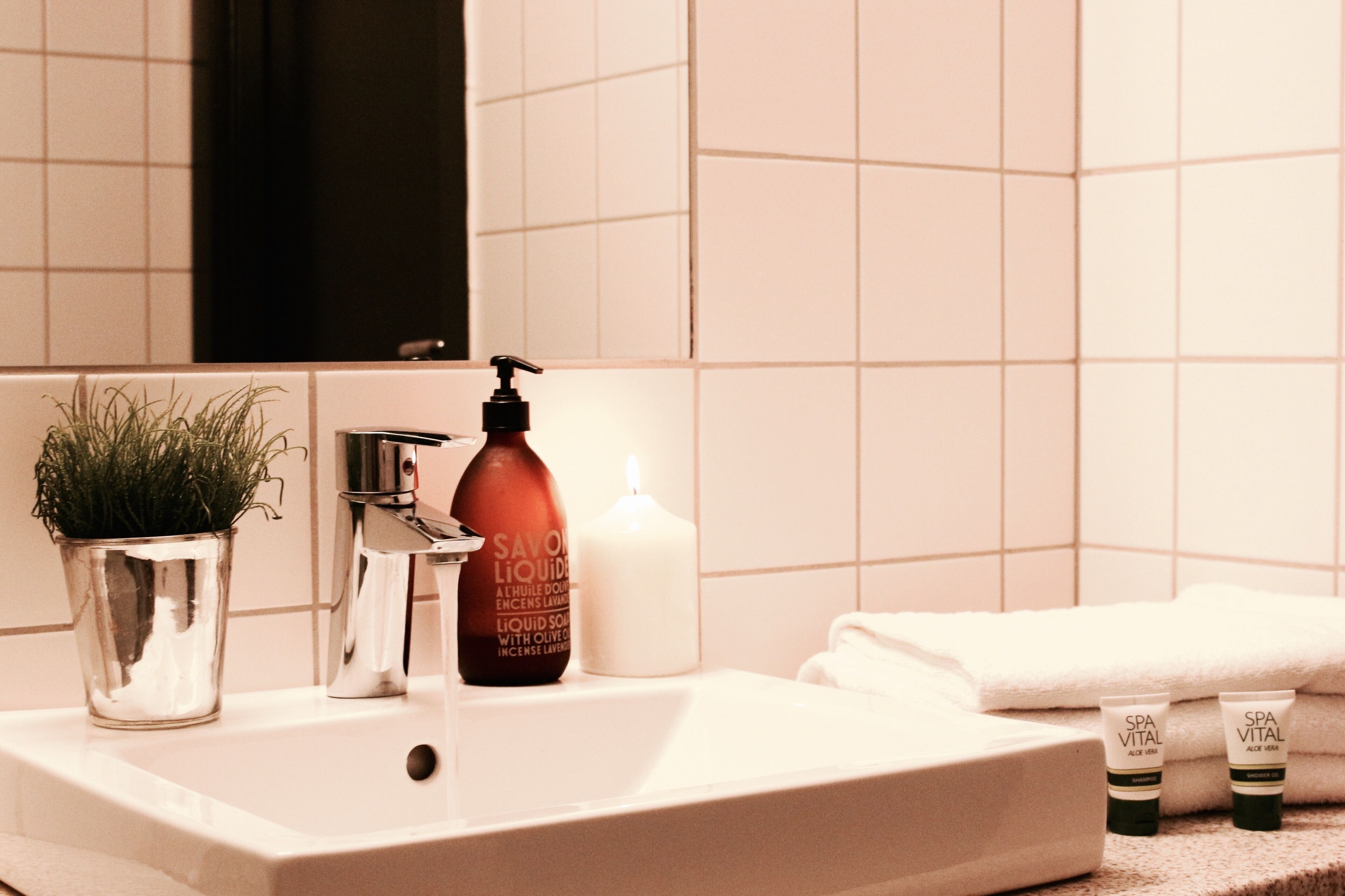 A bathroom sink with a plant, a bottle of liquid soap, a candle, and two tubes of SPA VITAL aloe vera gel.
