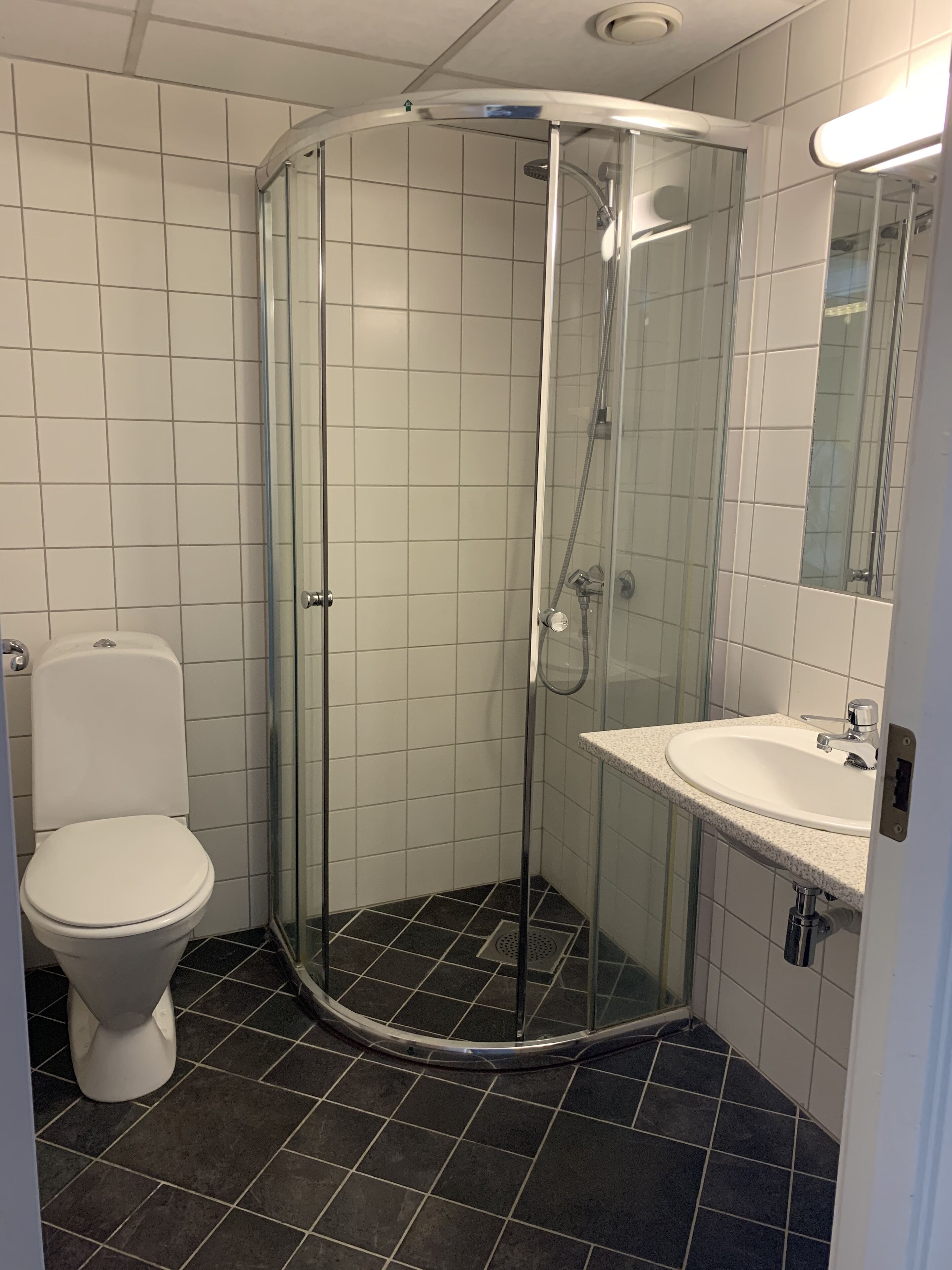 A bathroom with a glass-enclosed shower, a white toilet, and a sink with a mirror.