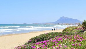 Una playa con una montaña al fondo, una orilla arenosa y flores moradas en primer plano.