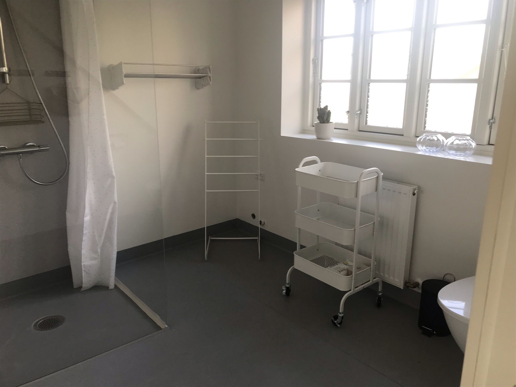 Ein Badezimmer mit Dusche, einem weißen Regal, einem Heizkörper und einem Fenster.