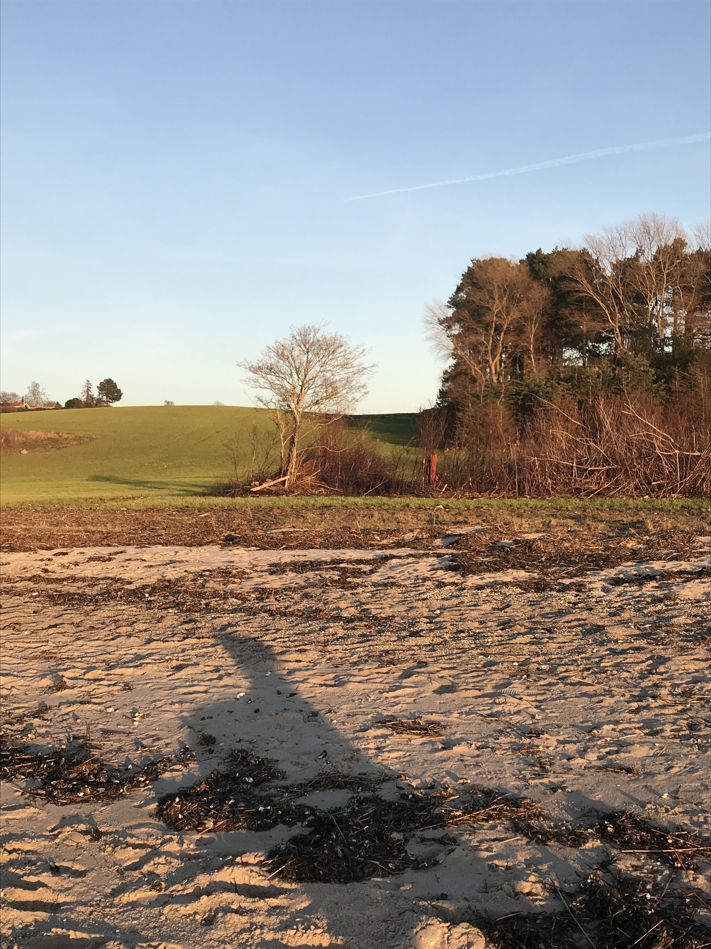 Een landelijk landschap met een onverharde weg, groene velden en bomen.