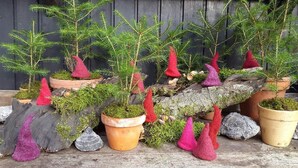 Árboles de Navidad en macetas con conos rojos y una rama de madera.