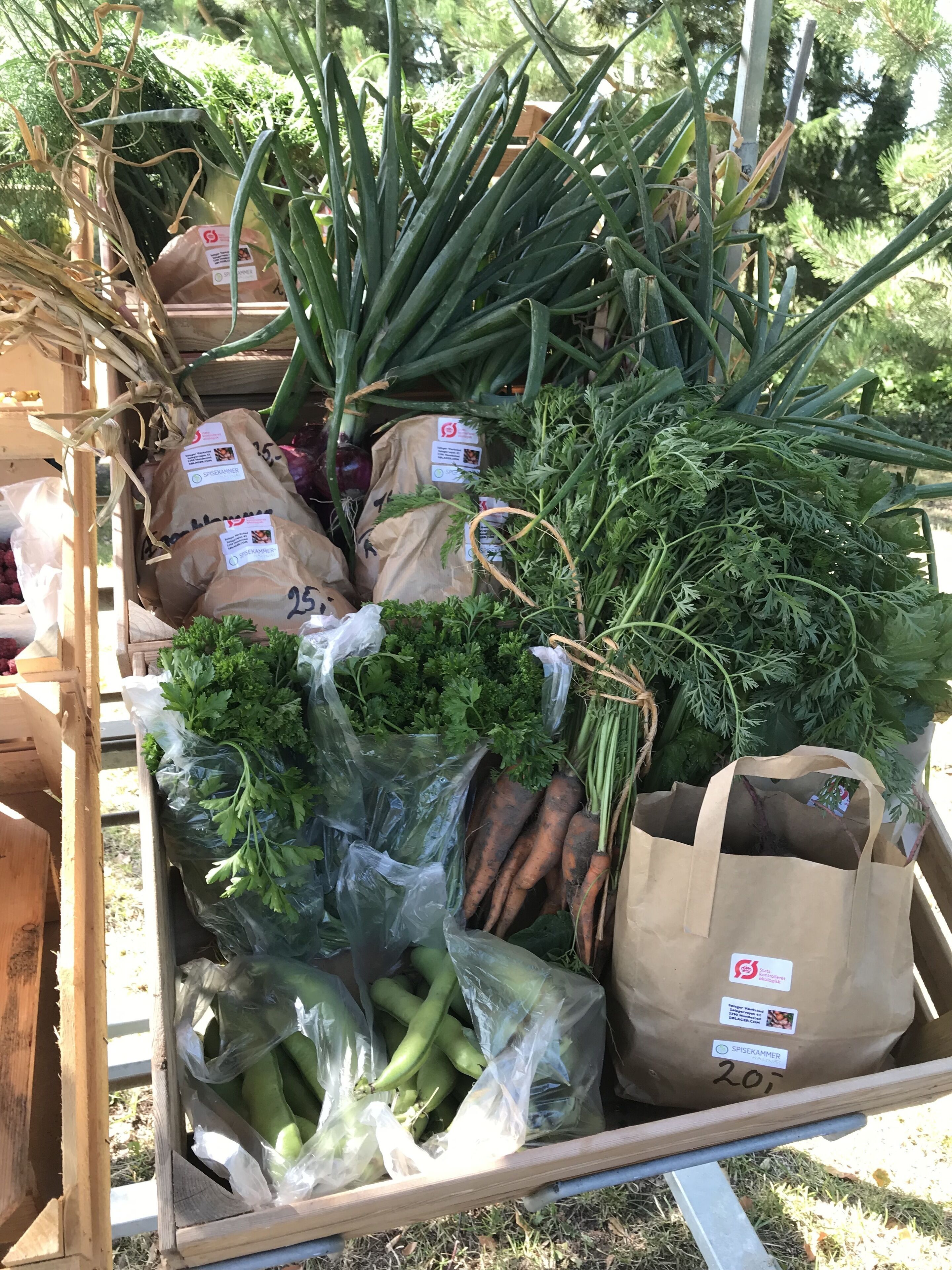 A wooden cart filled with various vegetables like carrots, green beans, and leafy greens, some in plastic bags and others in paper bags.