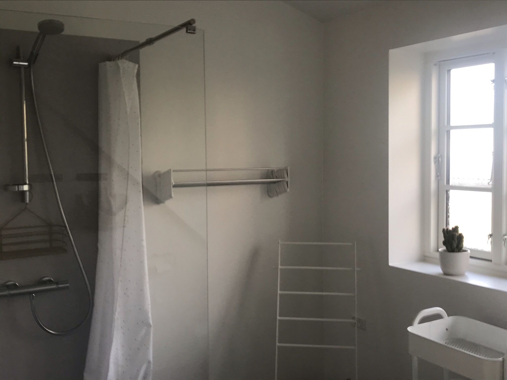Un baño con ducha, toallero, tendedero, ventana con planta y lavamanos.