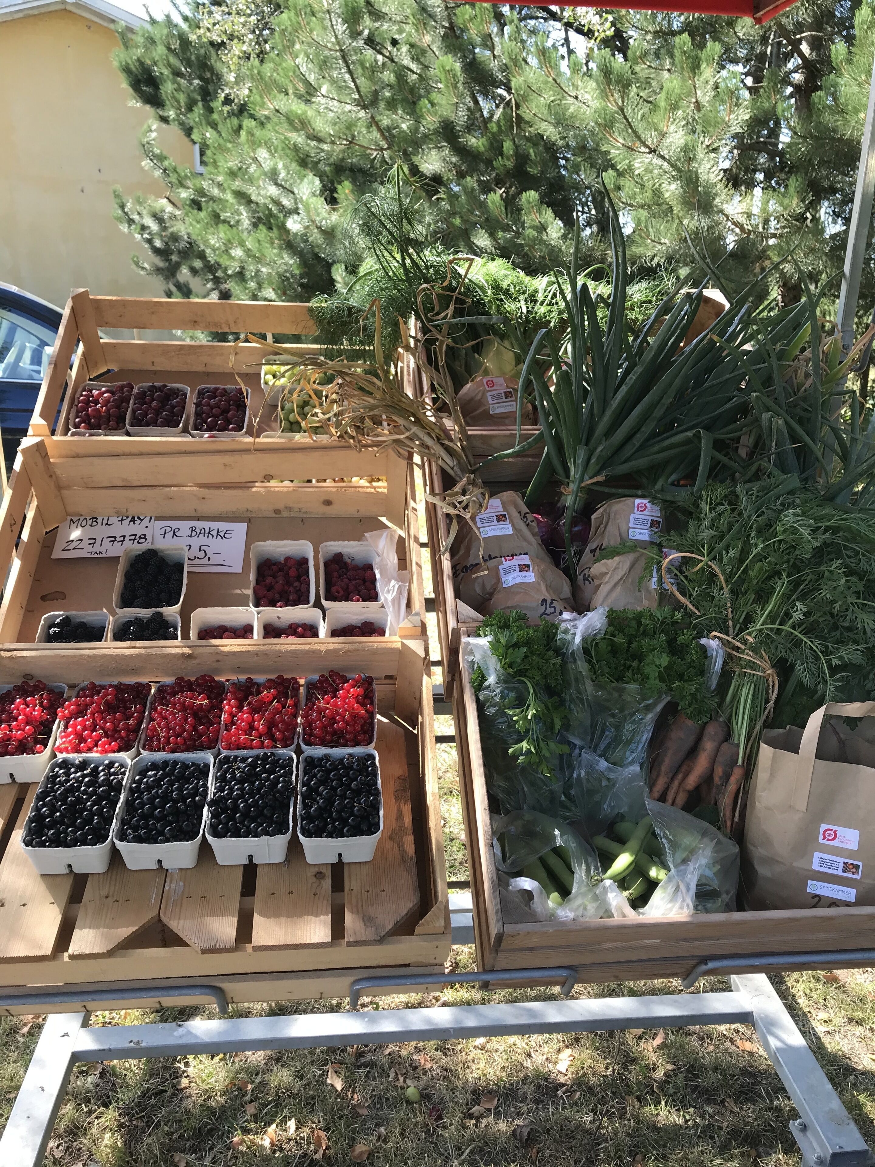 A wooden crate with various fruits and vegetables, including cherries and blackberries, displayed outdoors.