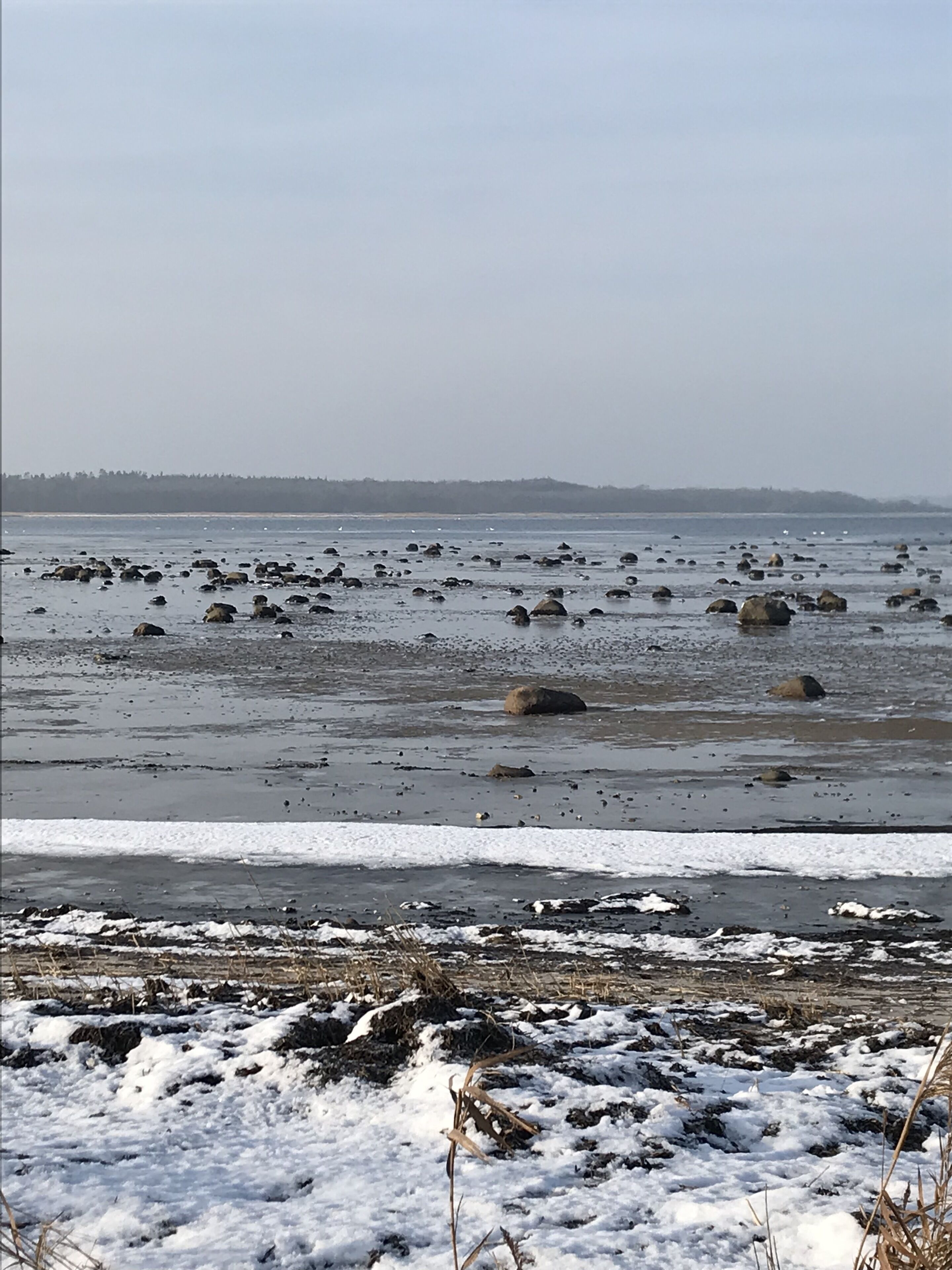 Una playa con rocas dispersas y parches de nieve.