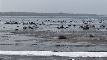 Una playa con rocas dispersas y parches de nieve.