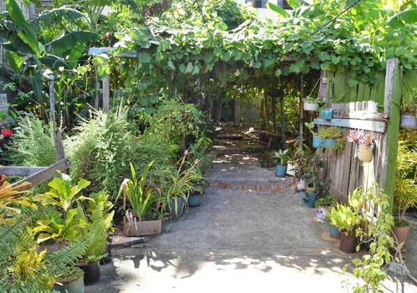 Stroll through this serene garden, surrounded by lush greenery and a variety of plants.