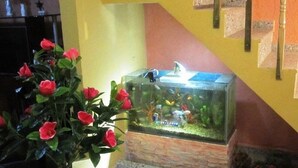 Un acuario con plantas acuáticas y peces, sobre un pedestal de mármol frente a una pared amarilla.
