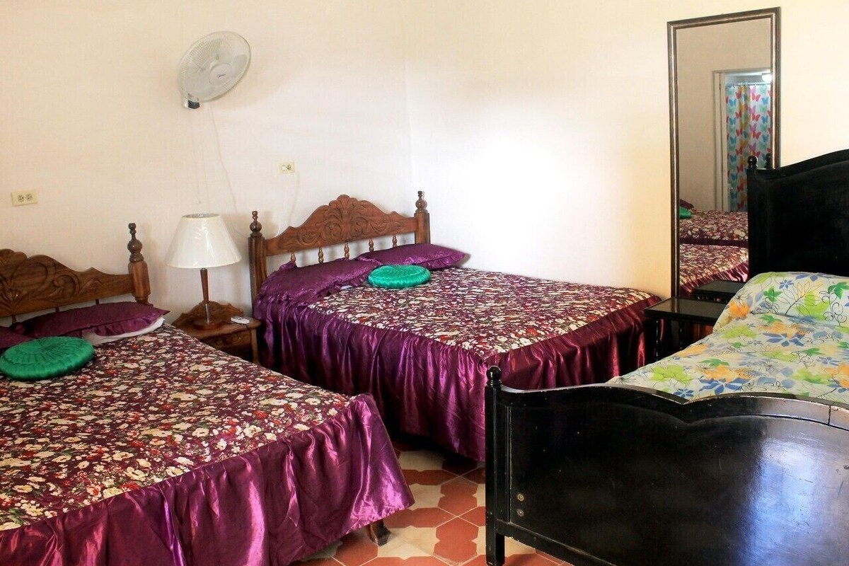 A room with two beds, each with a wooden headboard and purple bedding. There is a wall-mounted fan, a mirror, and a small table with a lamp.