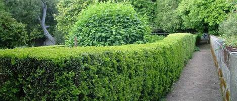 المنطقة المحيطة بالمنشأة