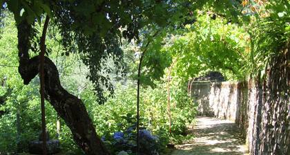 CASA DO CASEIRO - 4 PAX