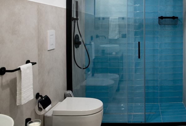 Shower, hair dryer, bidet, towels
