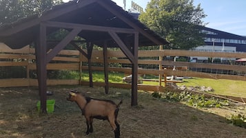 Children’s activities