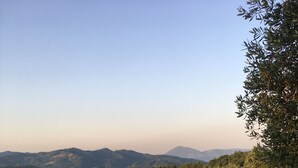Una piscina con lettini e una pergola con ombrelloni, circondata da vegetazione lussureggiante e montagne sullo sfondo.