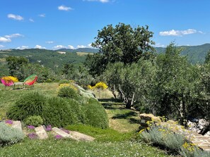 Property grounds - Perfect Umbrian villa for 12, stunning private infinity pool, superb rural views (Montone PG)