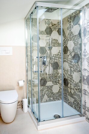 Shower, hair dryer, bidet, towels