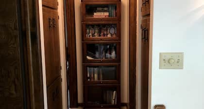 Magnolia Dreams come true here