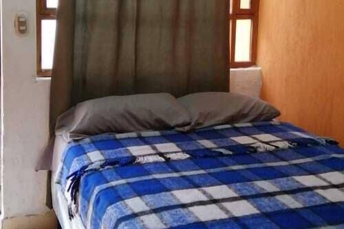 A single bed with a blue and white checkered bedspread, a green curtain, and a window with wooden frames.