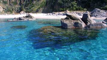 Plage, chaises longues, serviettes de plage