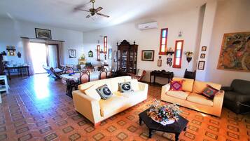 Fernseher, Kamin, DVD-Player, Bücher