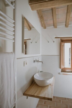 Shower, hair dryer, bidet, towels