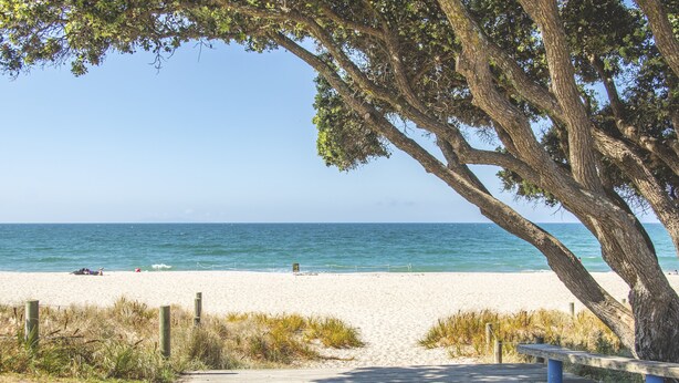 Une promenade en bois mène à une plage de sable où un grand arbre offre de l’ombre.