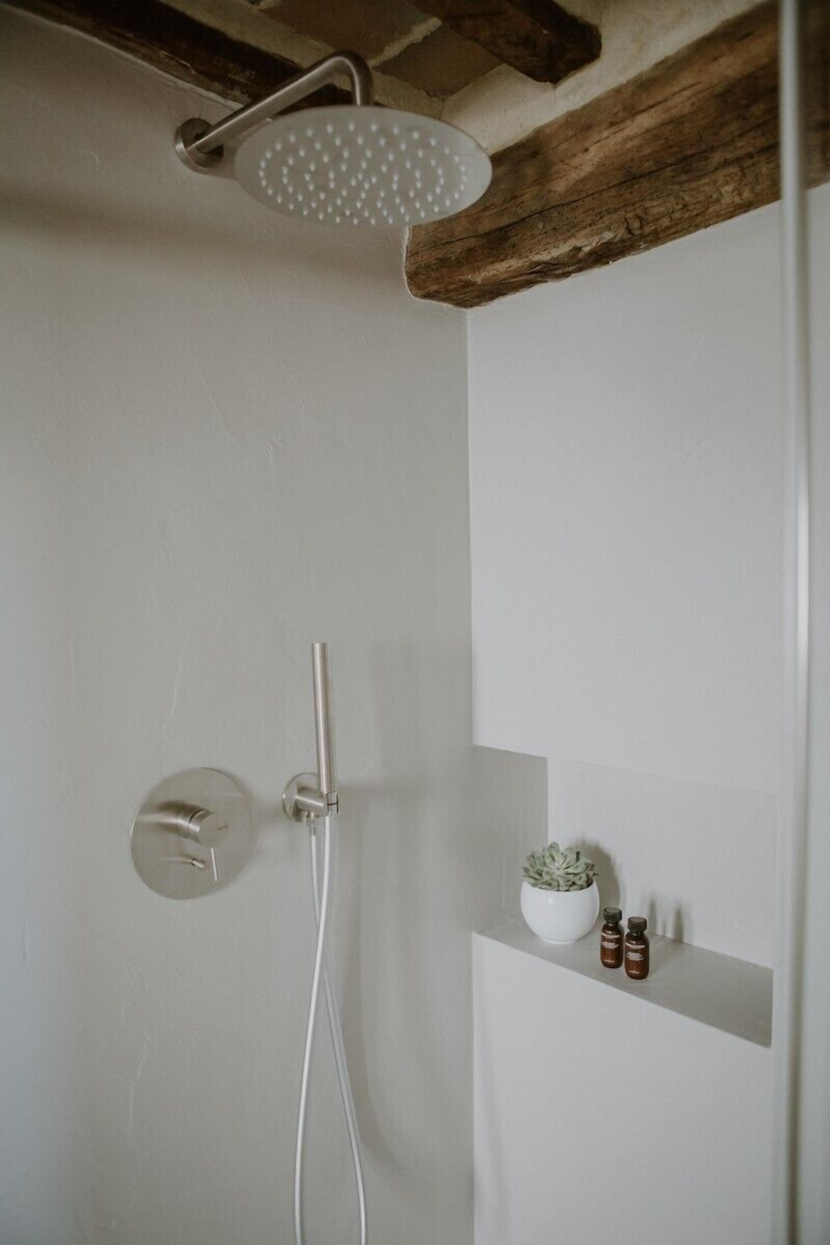Une douche équipée d’un pommeau de douche à main et d’un robinet mural. On y trouve une étagère avec une plante en pot et deux petites bouteilles.
