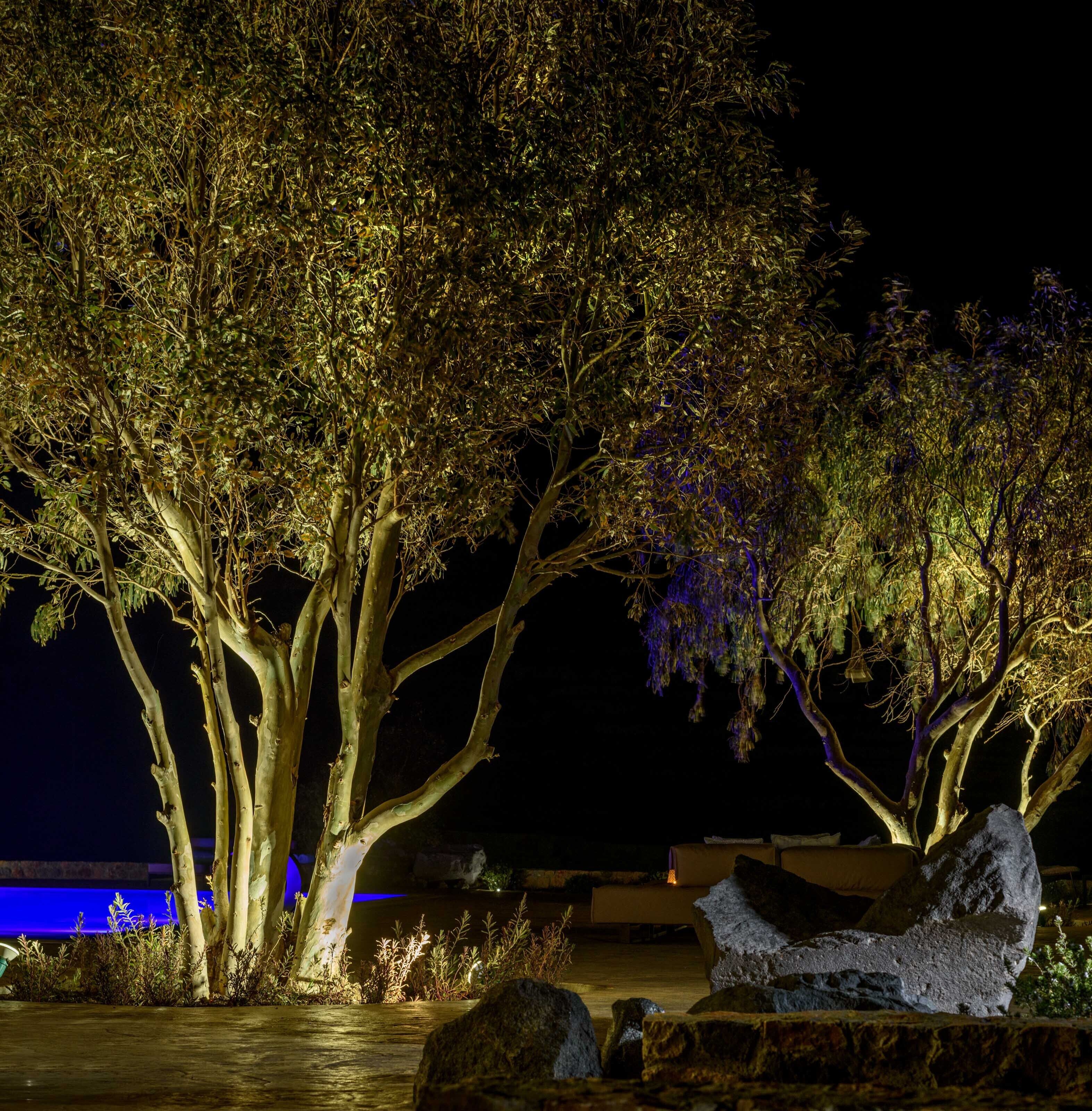 Photo - Phaos at Cellaria Estate