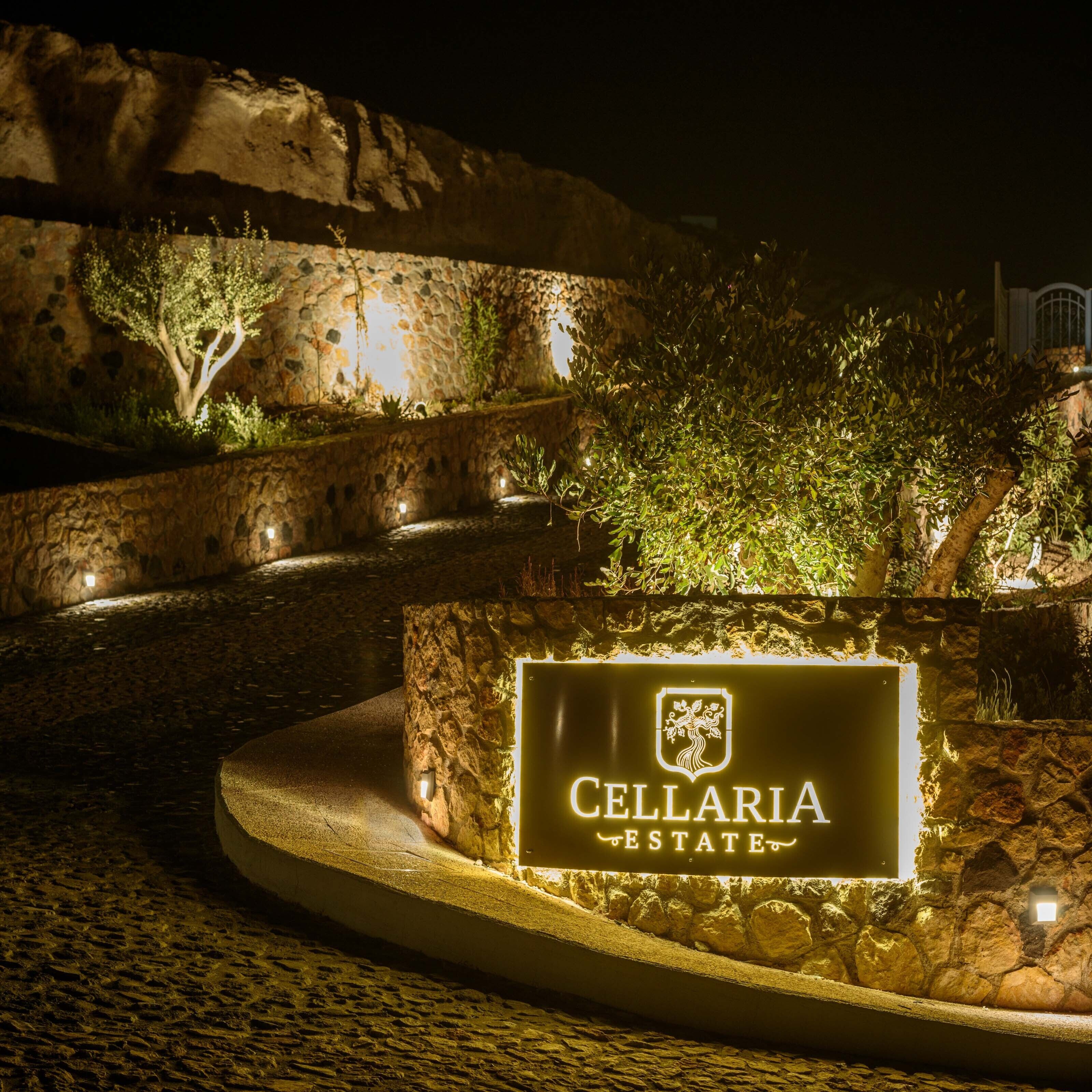 Photo - Phaos at Cellaria Estate