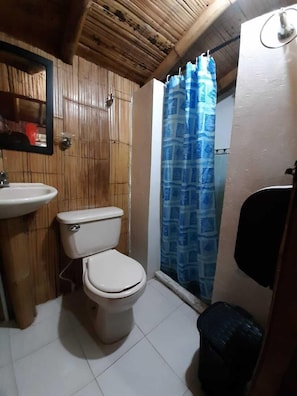 Shower, free toiletries, towels
