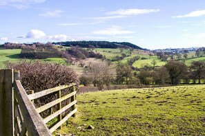 Cottage (Dairy) | View from room