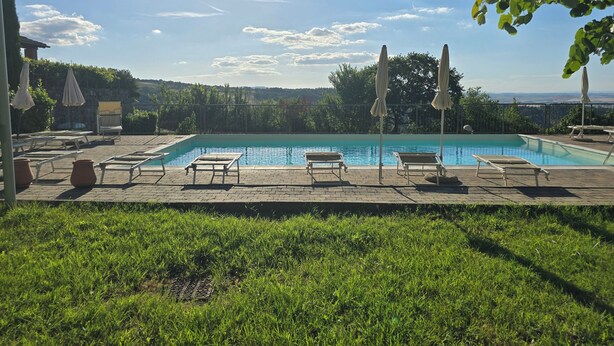 Piscina rectangular con sillones de descanso y sombrillas, rodeada de césped y un muro de piedra.