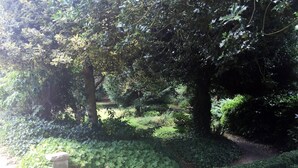 Property grounds - Mansfield Manor Hotel (Mansfield)