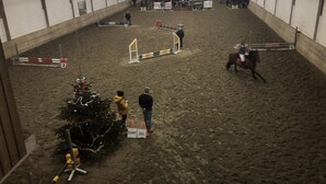 An indoor equestrian arena with a dirt floor, jump obstacles, and a decorated Christmas tree. - Georgshof (Podersdorf am See)