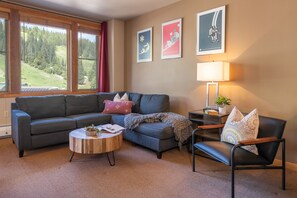 Smart TV, fireplace, DVD player
