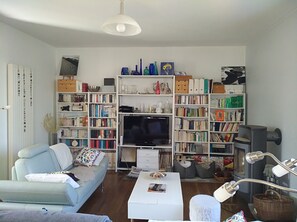 Télévision, cheminée, lecteur de DVD, livres