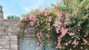 Un mur de pierres apparentes, rustique, avec une porte en bois.