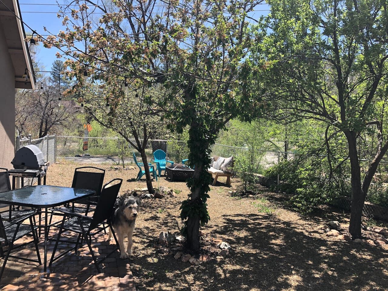 Patio trasero con una parrilla, mobiliario exterior y un perro.