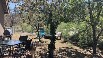 Patio trasero con una parrilla, mobiliario exterior y un perro.