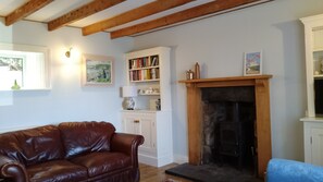 スマートテレビ、暖炉、DVD プレーヤー、書庫