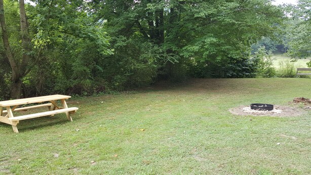 A picnic table and a fire pit in a grassy area surrounded by trees.