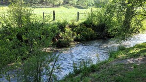 A natural stream with surrounding greenery and a wooden fence.