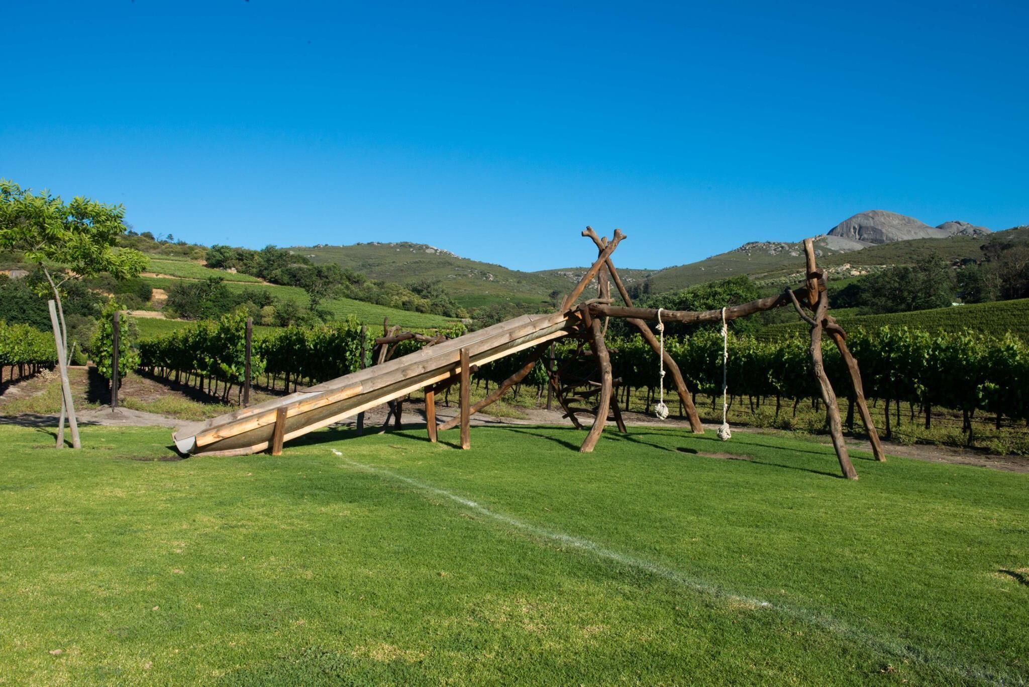 Un terrain de jeux avec un toboggan en bois et des balançoires, situé dans un champ verdoyant avec des vignobles en arrière-plan.